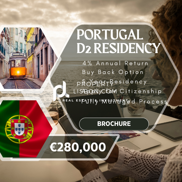 Commercial business investment for the D2 residency visa in portugal