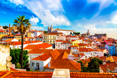 D2 Visa vs D7 Visa Portugal 