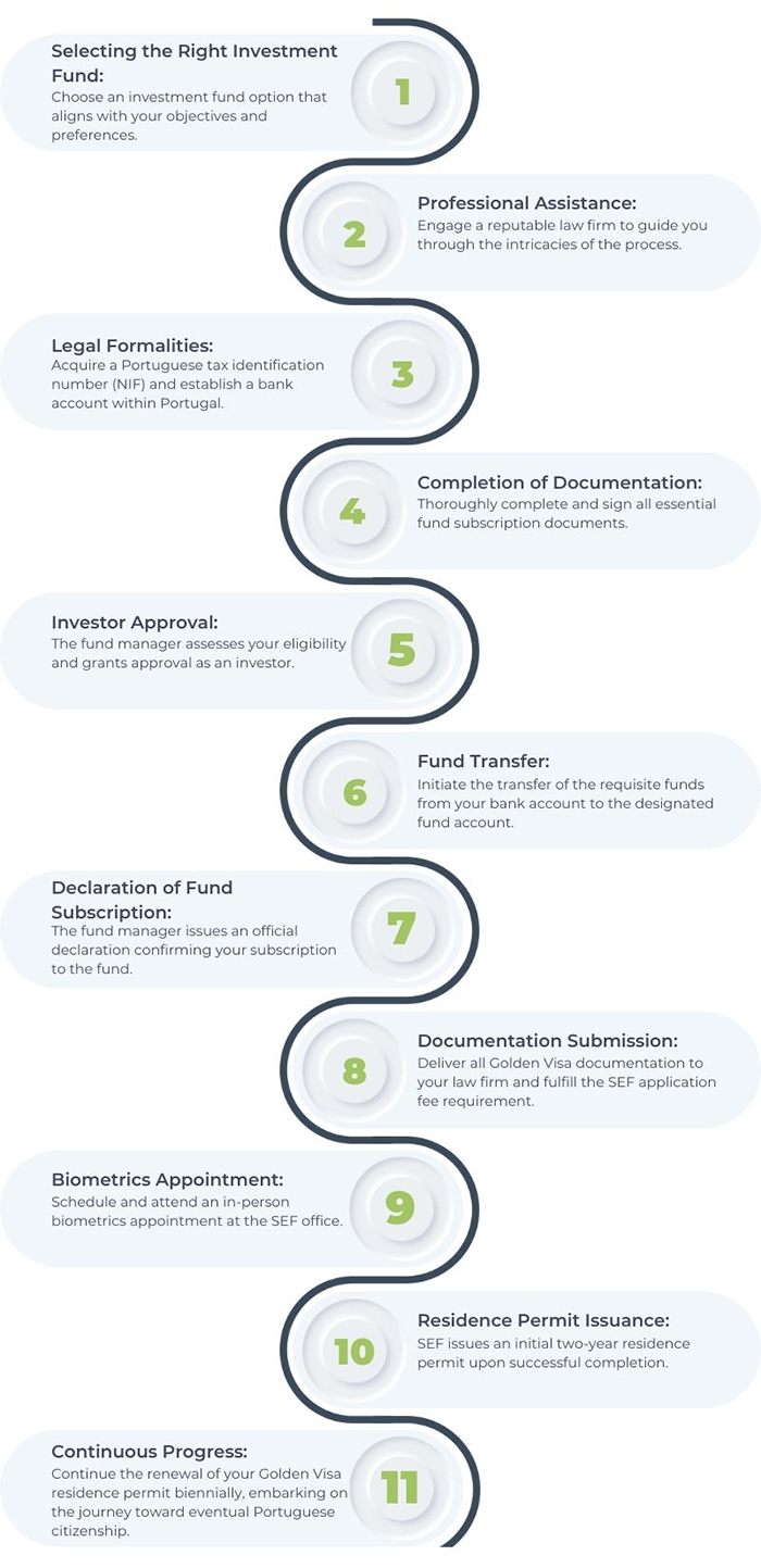 Investment Fund Infographic