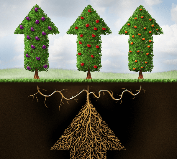 Green ethical investment funds in portugal for Golden visa