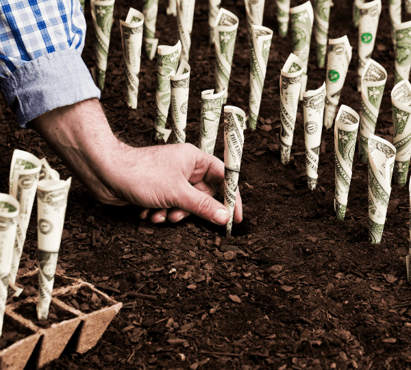 Agriculture investment funds in portugal